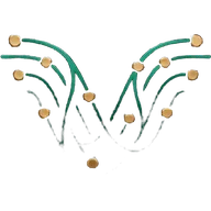 Veta Wallet